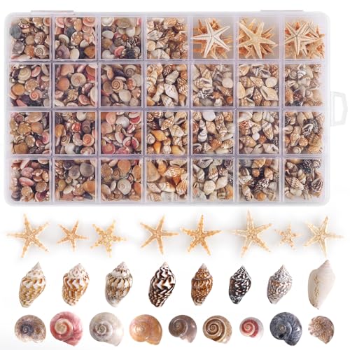PPCLION 60pcs Tiny Starfish 1800 Pcs Tiny Mini Small Sea Shells for Crafting Spiral Conch Shells for Crafts Charms for Home Decorations Candle Decor DIY Fish Tank and Beach Vase Filler