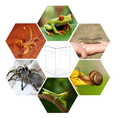 NANEEZOO Magnetic Acrylic Reptile Cage, 6"x6"x9" Tall Enclosure Transparent Reptile Breeding Box Terrarium Tank for Tarantula Scorpion Sling Isopods Invertebrates Insect Mantis