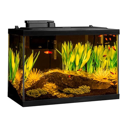 Tetra ColorFusion Aquarium 20 Gallon Fish Tank Kit, Includes LED Lighting and Decor