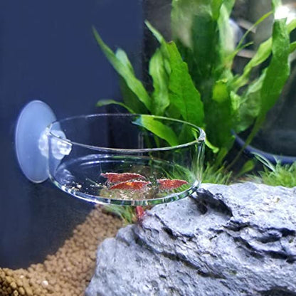 Aquarium Glass Feeder Shrimp Feeding Dish Round Clear Fish Tank Food Tray Container Prevent Food Spilling with Suction Cup, 65mm - size: 65mm
