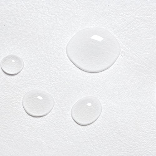 Classic Accessories - 79720 Over Drive RV Tank Cover, Double 20/5 Gallon Tanks, White - color: Snow White, size: Double 20/5 gallon tanks (Model 2)