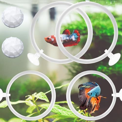 Betta Fish Toys - 4 Training Rings & 2 Bio Filter Balls, Beta Exercise Loop Toys and Nitrifying Balls Set, Betta Fish Tank Accessories Feeding Ring for Small Tank Decor Aquarium Water Conditioner - color: White