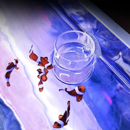 Acrylic Feeding Jar Fish Feeder Brine Shrimp Eggs Red Worms Food for Fish Feeding Bowl with Suction-Cup - size: Medium