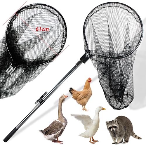 Catcher Net Small Animal Control Net Poultry Catching Trap Tool for Chicken, Duck, Goose, Fish, Cat, Dog and Others(43"- 78" Handle with 24" Net Opening) (Advanced Grey - Large) - color: Advanced Grey - 24inch Net Opening(Large)