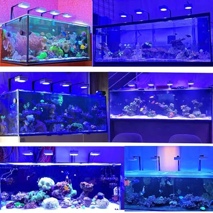 RL90 WiFi LED Aquarium Light Full Spectrum Aquarium Reef Led Light, for 72inch 180cm 6ft SPS LPS Marine Reef Coral Tank, App Control (4 RL90FS with arm kit) - size: 4 RL90FS with arm kit