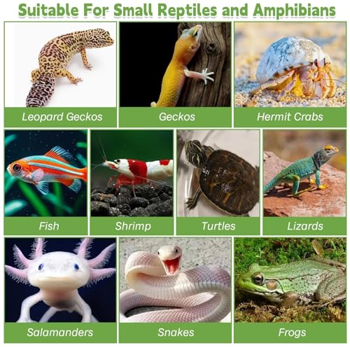 Reptile Hide Resin Turtles Dock for Aquarium (Size: 7.1 x 4.7 x 2.7 inches), Turtle Basking Platform for Small Size Snake Crested Gecko Lizard Frogs Newts