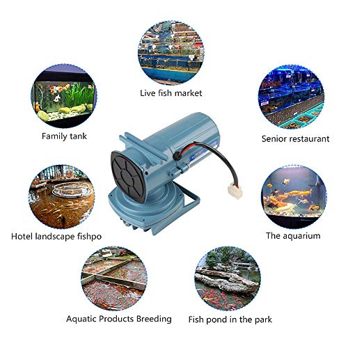 Yosoo Commercial Air Pump, Aquarium Air Pump DC 12V 35W Air Pump Aerator for Fish Pond Aquaculture Aquarium Accessory Tool Oxygen Aerator Pump for Aquarium Fish Fountain Pond &