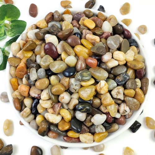 2LB Succulent and Cactus Gravel Pebbles, 3/8 Inch Decorative Polished Stones, River Rocks for Plants, Vases, Aquariums, Terrarium and Outdoor Gardening, Natural - color: Natural, size: 2 Pounds