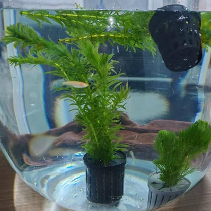 Fish Tank Plant Holder | 4 Pieces Suction Cups Cultivation Cups | Aquarium Plant Pots | for Fish Tank Betta Shrimp Freshwater Terrarium Home Workplace Decor