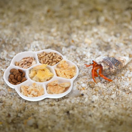 2Pcs Hermit Crab Food Dish, 7 Compartments Anti-Turning Food & Water Bowl, Tiny Reptile Water Bowl for Small Animal Hermit Aquarium Accessory
