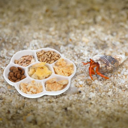 2Pcs Hermit Crab Food Dish, 7 Compartments Anti-Turning Food & Water Bowl, Tiny Reptile Water Bowl for Small Animal Hermit Aquarium Accessory