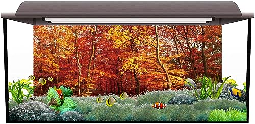 AWERT 72x24 inches Fall Leaf Forest Terrarium Background Autumn Maple Leaf Woodland Reptile Habitat Background Rural Natural Landscape Aquarium Background Vinyl Background - size: 72x24in/180x60cm