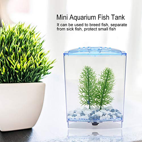 GLOGLOW Mini Aquarium Fish Tank, Acrylic Breeding Box for Betta and Guppies, Isolator for Small Fish with Air Circulation and Easy Waste Drainage (Single Grid)