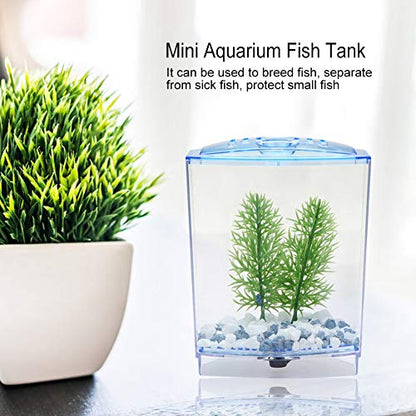 GLOGLOW Mini Aquarium Fish Tank, Acrylic Breeding Box for Betta and Guppies, Isolator for Small Fish with Air Circulation and Easy Waste Drainage (Single Grid)
