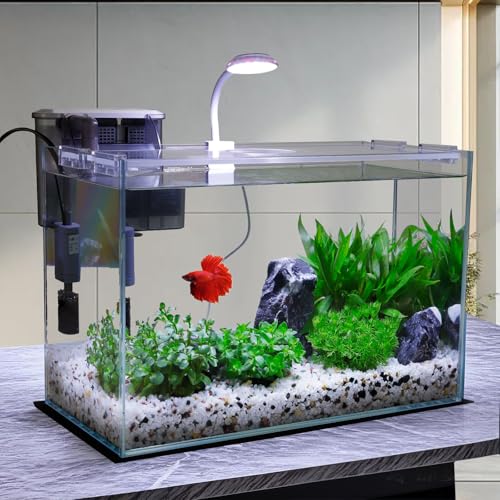 5 Gallon Glass Small Fish Tank with Filter Light and Lid, Betta Aquarium Starter Kits - size: 5 Gallon