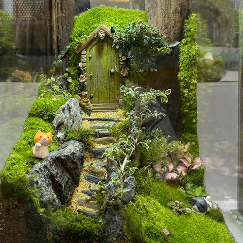Natural Rocks Seiryu Stone 1-2.5 Inches Decorative Stones for Fairy Gardens,Miniature Landscaping,Bonsai,DIY Crafts, Aquariums & Reptile Terrariums-1lb