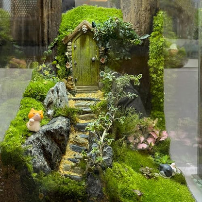 Natural Rocks Seiryu Stone 1-2.5 Inches Decorative Stones for Fairy Gardens,Miniature Landscaping,Bonsai,DIY Crafts, Aquariums & Reptile Terrariums-1lb