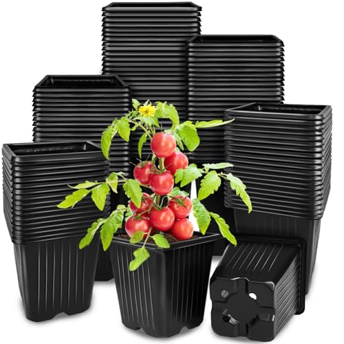 100Pcs Square Plant Nursery Pots,3.5 Inch Plastic Pots with Drainage Holes,Reusable Seed Starter Pots for Flowers,Vegetables,Garden Planting,Transplanting,Succulents,Cuttings(Black) - color: 100pcs Black