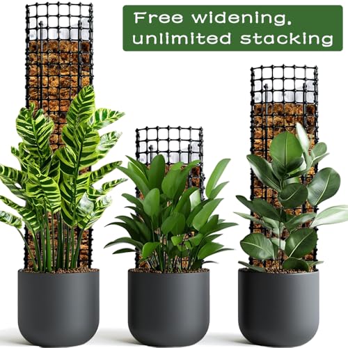 Expandable D Shaped Moss Pole, Customizable Width Moss Pole Monstera Plant Support, Stack up to 47 inches in Height, Widen to Any Size, DIY Thickened Transparent Plant Support for Climbing Plants