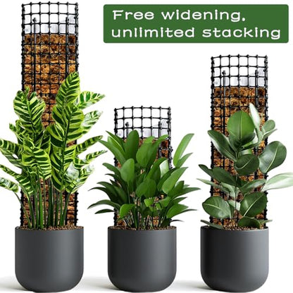 Expandable D Shaped Moss Pole, Customizable Width Moss Pole Monstera Plant Support, Stack up to 47 inches in Height, Widen to Any Size, DIY Thickened Transparent Plant Support for Climbing Plants