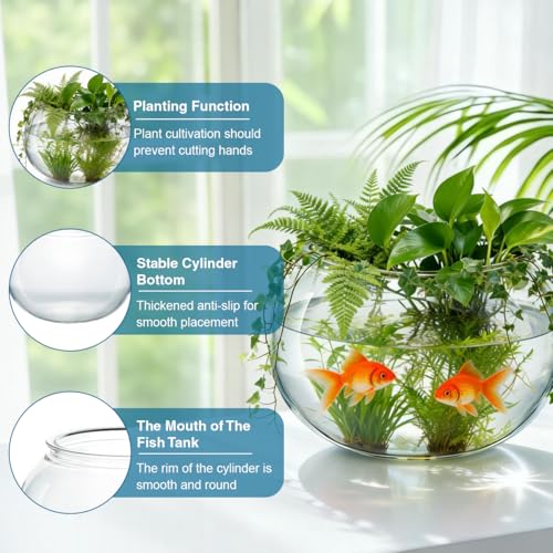 25.36 oz Mini Plastic Fish Bowl Unbreakable Shatterproof Decorative Goldfish Tank Round Vase for Desktop Home Decor Party Centerpieces