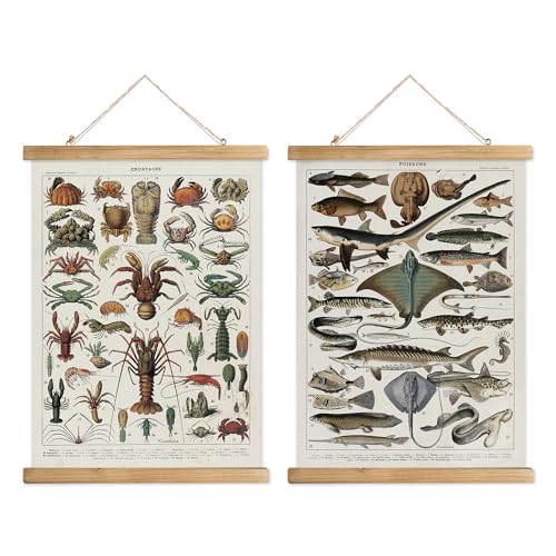 XIAOAIKA Set of 2 Vintage Marine Life and Crustaceans Wall Art Posters - Nautical Ocean Creatures & Seafood Illustration Prints with Wooden Hanger Frames for Home Decor 16 x 23 Inches - color: 2-Pack Marine Life and Crustaceans Posters, size: 23"L x 16"W