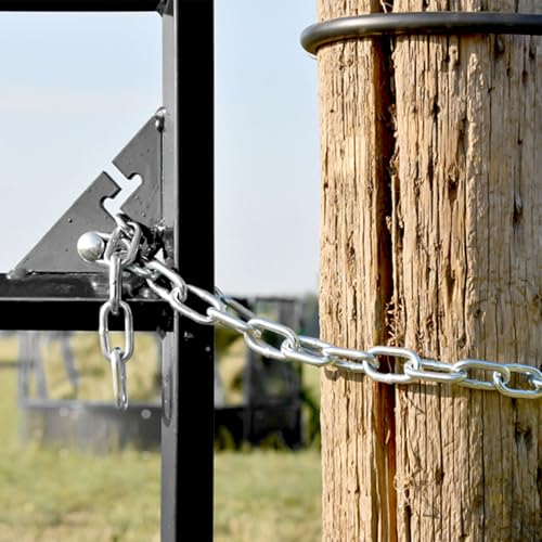 Heavy Duty Stainless Steel Chain, Hanging Safety Link Chain Fitness Chain Weight Lifting Chains with Carabiners for Home Gym Hammock Swing Hanging Chair Punching Bags - color: 2 Stainless Steel Chain + 4 Carabiners
