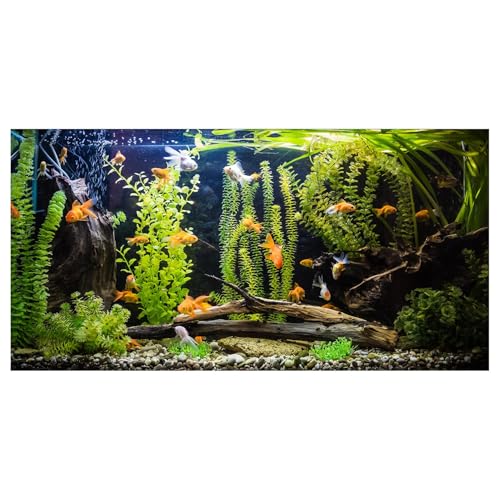 Aquarium Background, River Bed & Lake Tropical Undersea Tree Branch Aquatic Plant Fish Tank Background, 6 EVA Double-Sided Tapes 48x24 inches/120x60 - color: orange, size: 48"L x 24"W