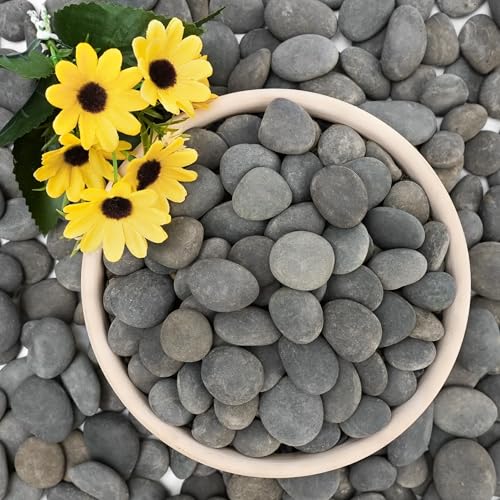 12lb Mexican Beach Pebbles, 1" Black River Rocks for Landscaping, Smooth Garden Rocks for Outdoor Paving, Natural Black Pebbles for Plants, Decorative Stones for Planters, Fish Tank, Fountain - color: Gray, size: 1", 12lb