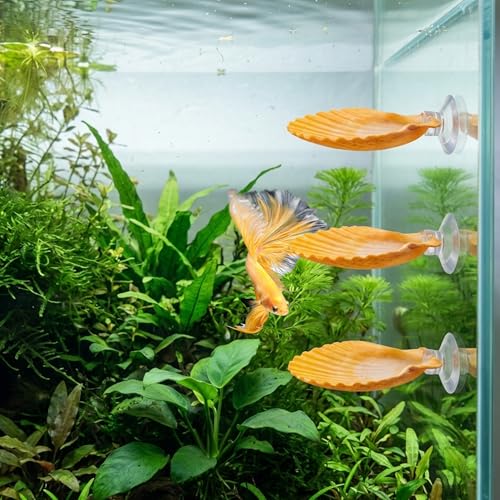 3PCS Betta Hammock Shells, Natural Small Fish Tank Decorations, Betta Fish Tank Accessories, Aquarium Decorations, Aquarium Hideout Habitat for Sleeping Resting Hiding Playing (Yellow) - color: Yellow