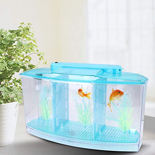 AYNEFY Mini Fish Breeding Box,Aquarium Fish LED Acrylic Three Divisions Small Fishes Isolation Incubator Breeding Hatchery for Guppy Shrimp Fishes (Blue)
