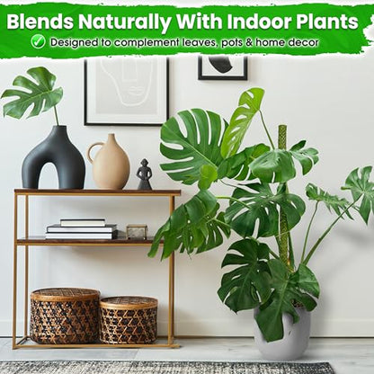 2 Pack 25’’ Mesh Moss Pole for Climbing Plants, Natural Moss Pole Monstera Plant Support, Real Moss Poles for Plants Indoor, Moss Stick for House Plants, Moss Stakes for Climbing Plants