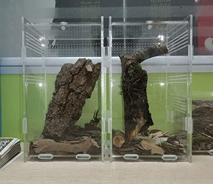 Magnetic Acrylic Case, micro habitat small Tarantula Enclosure enclosure for arboreal Tarantula Scorpion Sling Lizards Mantis Snake Gecko jumping spider snail Insect Isopods (4.7*4.7*7.8 inch)