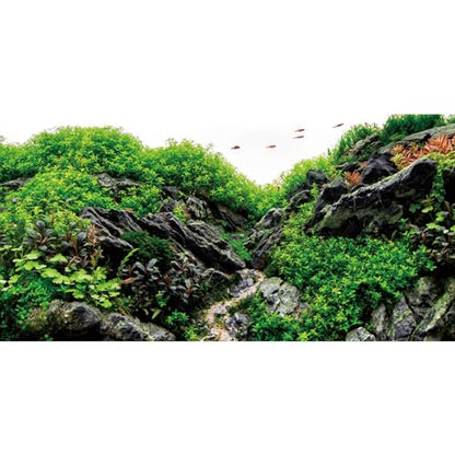 AWERT 36x24 inches Stone Aquarium Background Aquatic Plant River Bed & Lake Fish Tank Background Seaweed Aquarium Background Vinyl Background