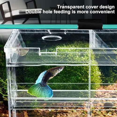 Aquarium Fish Breeding Box, Acrylic Transparent Multi-Grid Design Fish Isolation Box Hatchery-Incubator for Newborn Fry Shrimp Clownfish Aggressive Fish Injured Transparent M