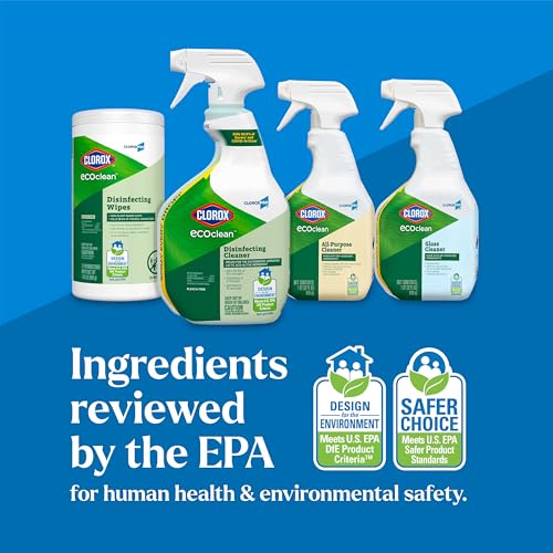 CloroxPro EcoClean Disinfecting Cleaner Spray Bottle, 32 fl. oz. | Disinfects in 2 Minutes, Sanitizes in 15 Seconds, Kills 99.9 Percent of Flu Viruses and SARS-CoV-2, Bleach Free - size: 32 Fl Oz (Pack of 1)