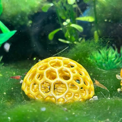 Shrimp Dome Hide - Aquarium Cherry Shrimp Hide Cherry Shimpe Hide (Honey Gold) - color: Honey Gold