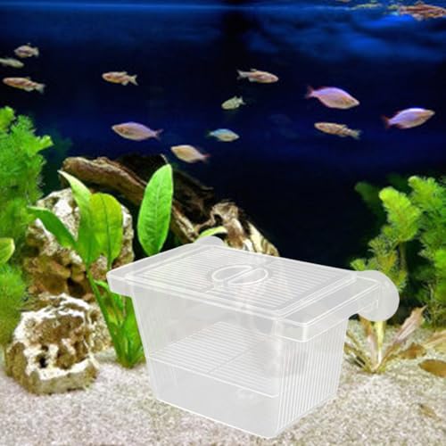 Multipurpose Fish Isolation Tanks with Strong Suction Cup for Aggressive Injured Pregnant and Fry Protections 2PCS Aquarium Isolation Divider