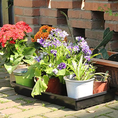 Gardzen 10 Pack Seed Trays, Reusable Plant Grow Trays, Ideal for Seed Starting, Microgreens, Indoor Gardening, and Greenhouse Nurseries - No Drain Holes, 20"x10" - size: 21L x 11W x 2.4H