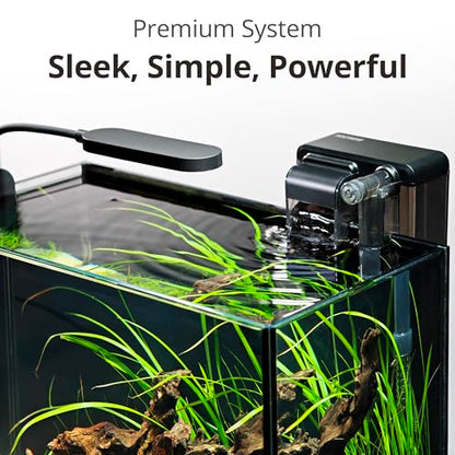 NICREW 2.5 Gallon Nano Nature Aquarium Kit, Ultra-Clear Rimless Desktop Fish Tank with Light and Filter, Perfect for Small Fish, Shrimp, or Betta, Basic Version, Black