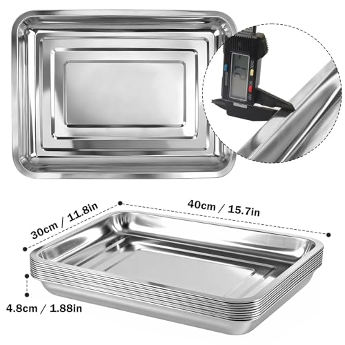 10-Pack 16 Inch Stainless Steel Growing Trays, Heavy-Duty Metal Sprouting Tray for Plants, Stainless Steel Plant Germination Trays for Hydroponics, Transplanting (Silver) - size: 10 Pack 16 Inch Silver