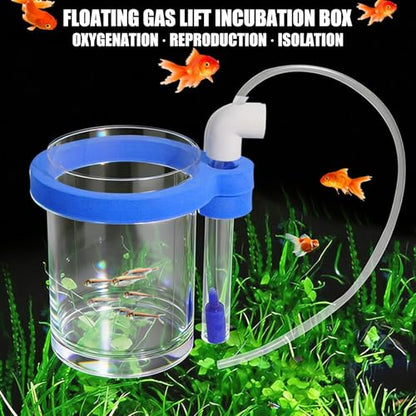 Protective Acrylic Incubator Box Safe Fry Rearing Container Suitable for Guppy & Fish Fry Featuring Sponges Cushioning Suspended Fish Hatchery