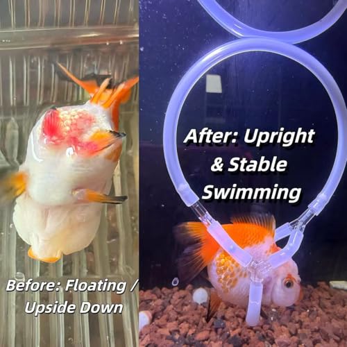 Handmade Adjustable Fish Buoyancy Support Harness – Floating Support Ring for Various Fancy Goldfish, Helps Maintain Upright Position & Swimming Balance (Fits Back Length up to 8" (20cm))