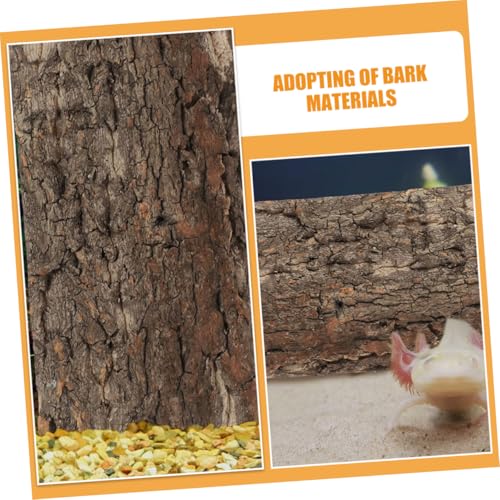 BESPORTBLE 3pcs Reptile Cork Bark Background for Terrarium Natural Tree Bark Decor for Fish Tank and Reptile Habitat and Safe Wall Decor