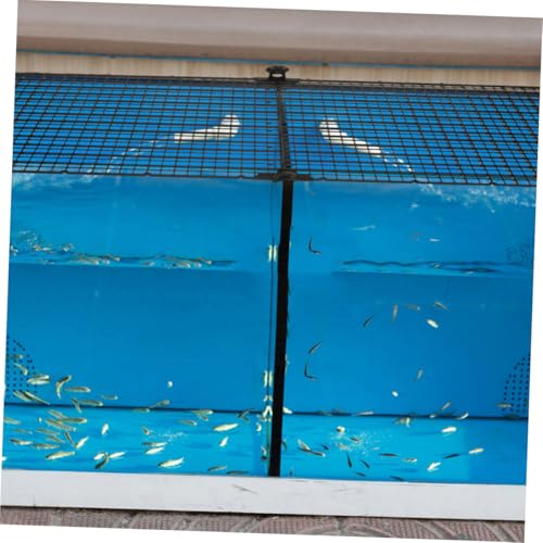 Toddmomy 4pcs Aquarium Divider Grid Plates for Betta Fish Prevent Jumping Create Separate Zones Fish Tanks Easy to Assemble Plastic Panels Cups Each