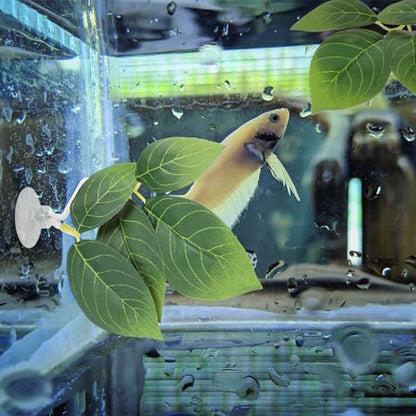 Hariendny 3 Pcs Betta Fish Leaf Pad Fish Tank Accessories Aquarium Décor Simulating The Natural Habitat for Betta Spawning Grounds Resting Bed with Plastic Suction Cup