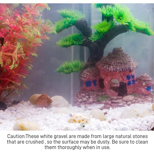 45lb White Cactus Pea Gravel Rocks,1/4 Inch Pebbles for Indoor Plants, Natural Succulent Rock and River Rocks Decorative for Aquariums, Vases, Outdoor Gardening, Top Dressing for Potted Plants