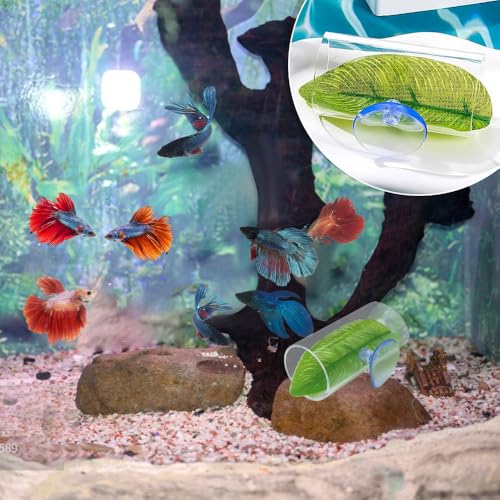 Betta Fish Tunnel Toys,Acrylic Hollow Betta Fish Hideout Tube Hollow Design for Small Fish Shrimp Betta Guppies