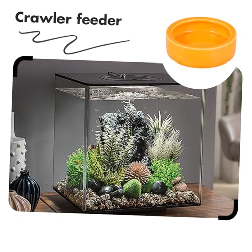 SUPVOX Floating Feeder Bowl Ceramic Food Dish for Reptiles Fish Small Pets -Escape