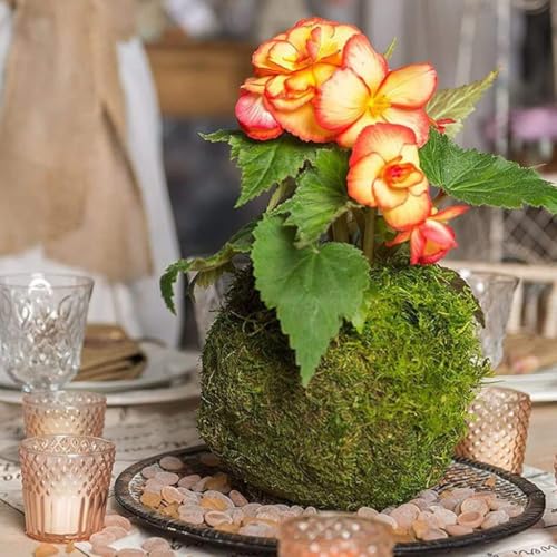 Moss Ball Flower Pot Natural Planter Bonsai Plant Holder Bird Nest for DIY Gardening Home Table Decoration - 15cm